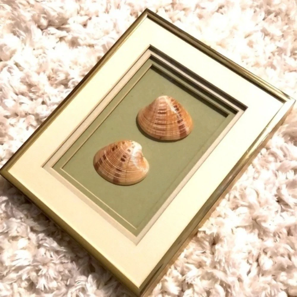 Vintage 1980s 1990s SEASHELL ART | Gold Frame 8”x10”